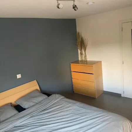 Appartement Le Renard Le Coq